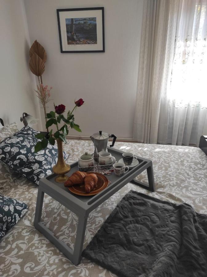 Apartmani Gruzdovo Delnice Eksteriør bilde