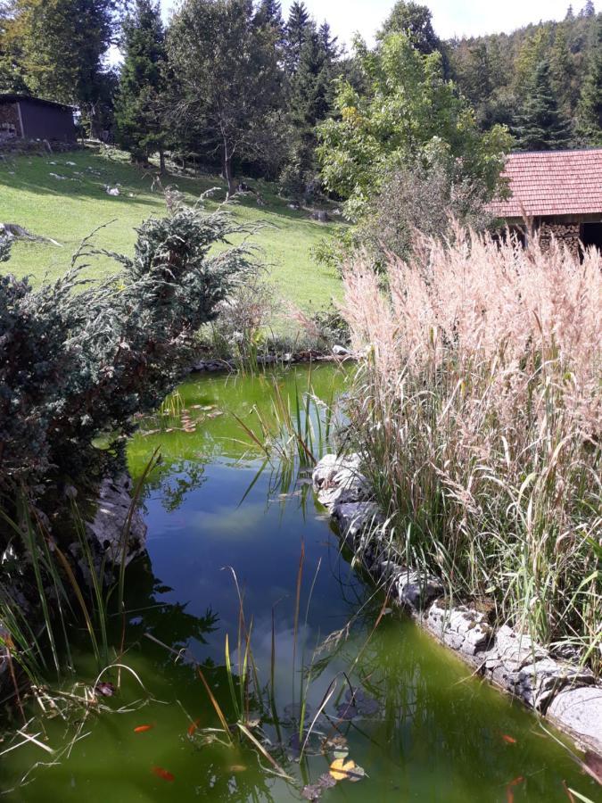 Apartmani Gruzdovo Delnice Eksteriør bilde