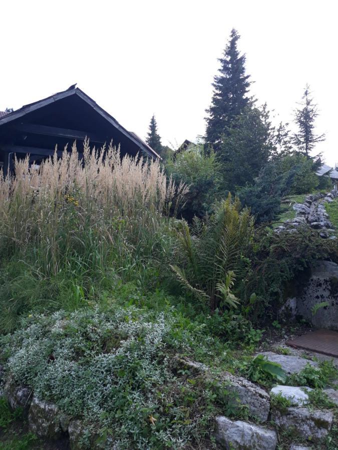 Apartmani Gruzdovo Delnice Eksteriør bilde