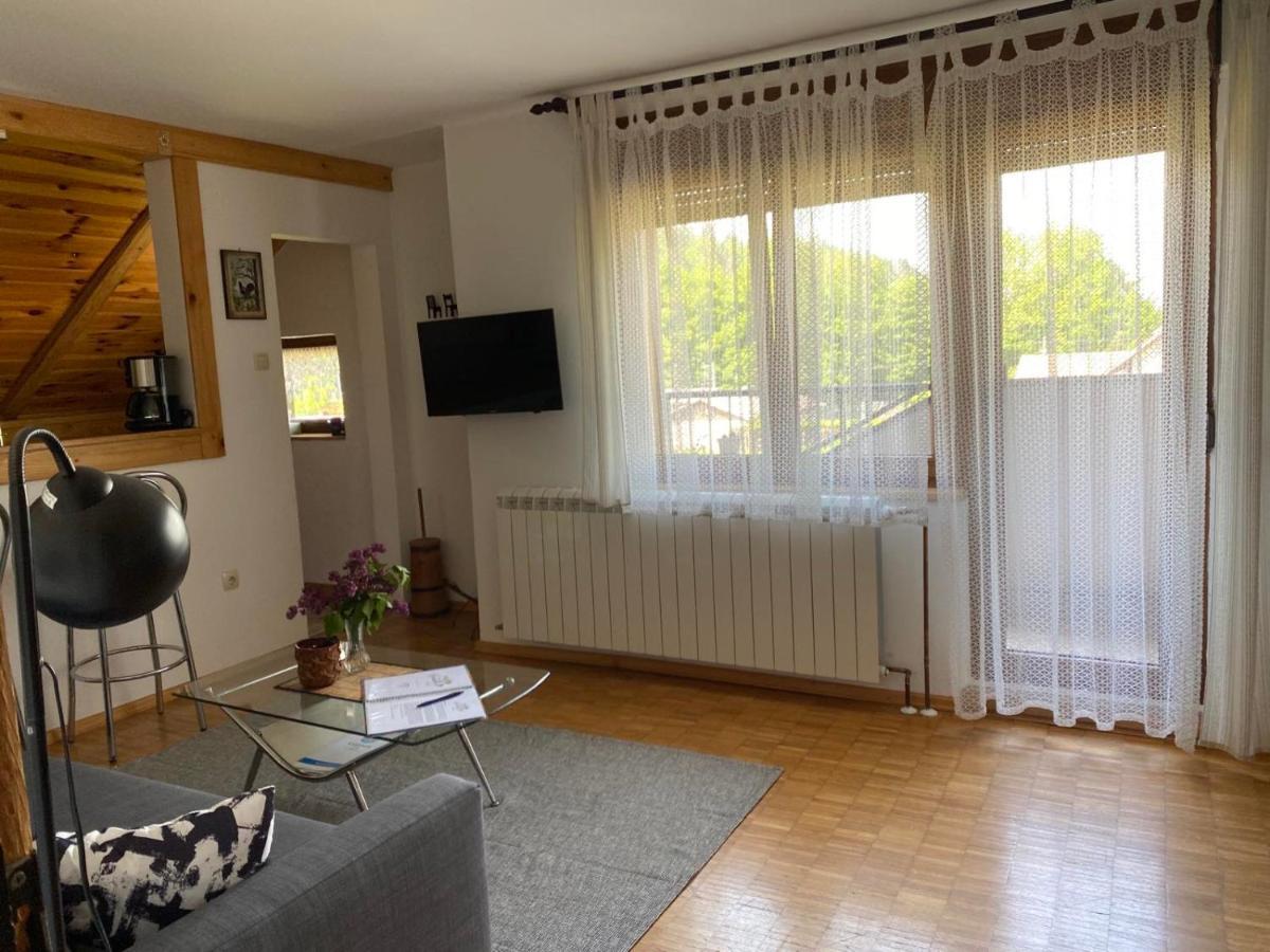 Apartmani Gruzdovo Delnice Eksteriør bilde