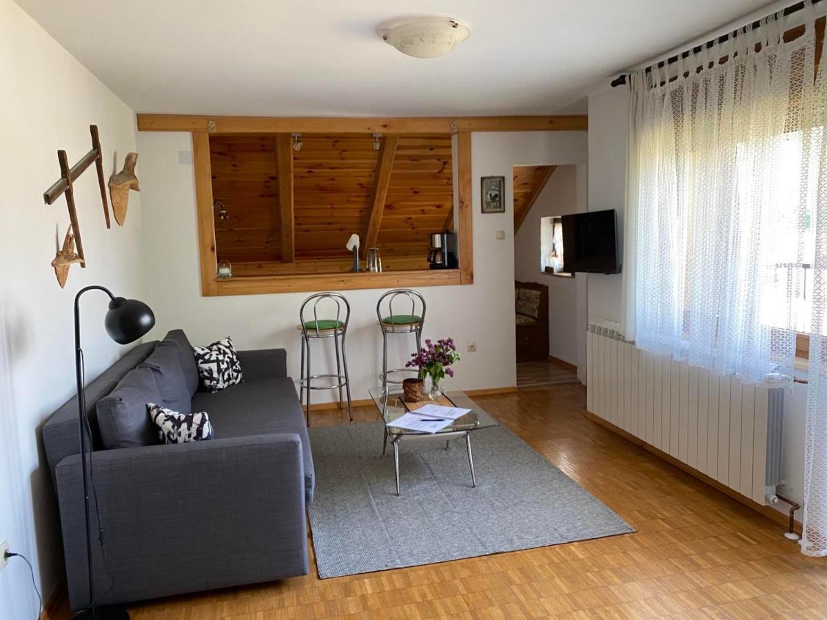 Apartmani Gruzdovo Delnice Eksteriør bilde