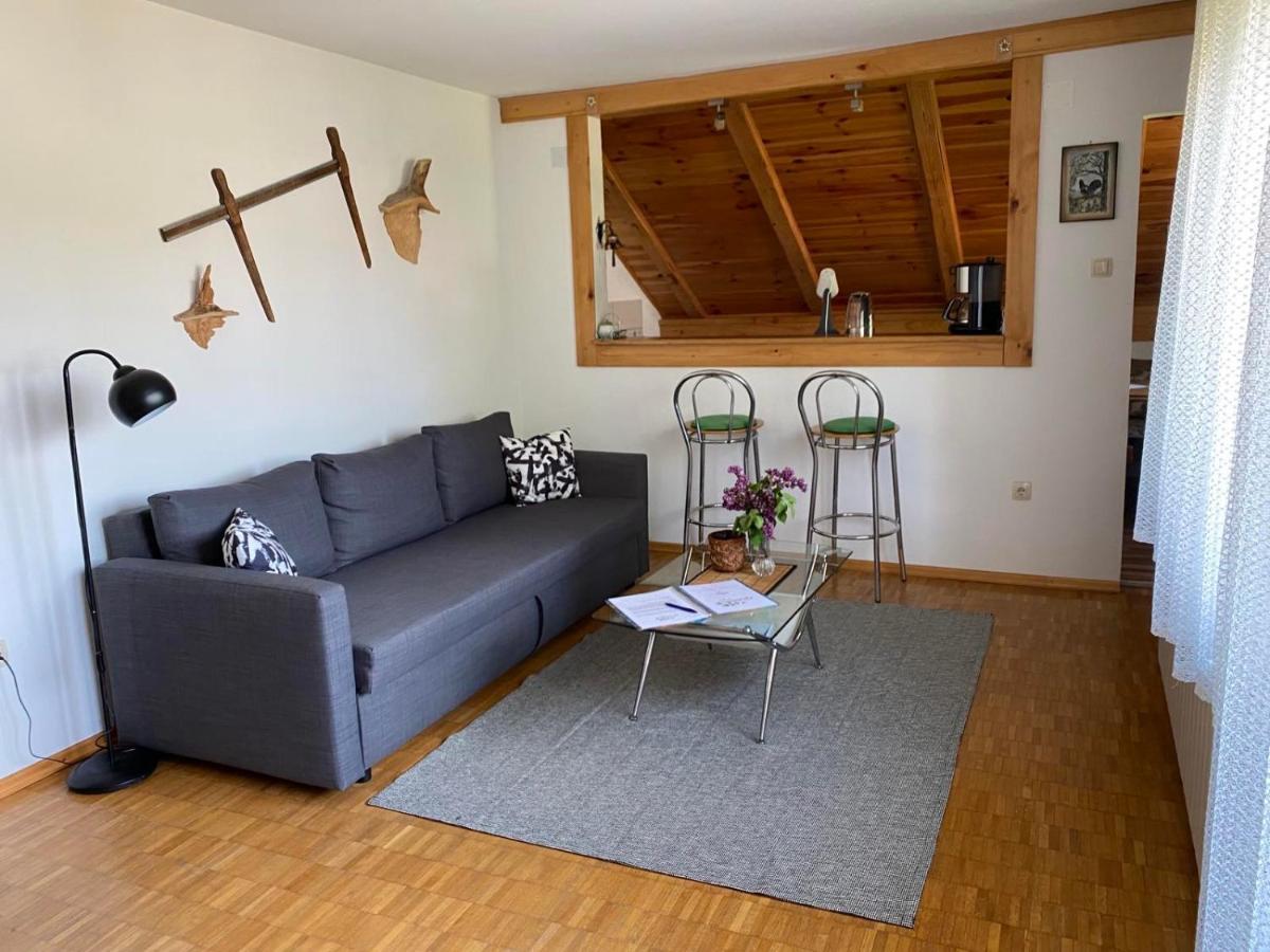 Apartmani Gruzdovo Delnice Eksteriør bilde